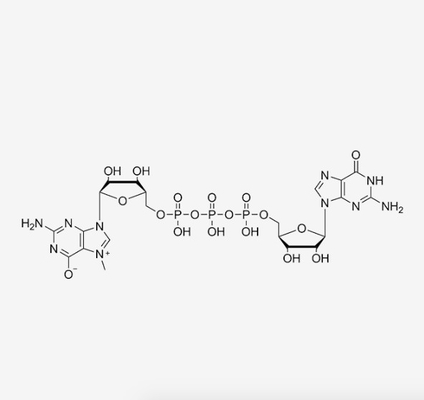 آنالوگ های درپوش M7 GpppG N7-Methyl-Guanosine-5'-Triphosphate-5'-Guanosine C21H29N10O17P3