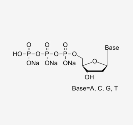 مخلوط محلول 10 میلی لیتری 25 میلی متری نوکلئوتیدهای اصلاح شده dNTP Deoxynucleotide