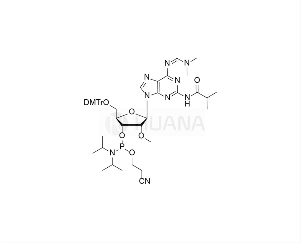 DMTr-2'-O-Me-N2-iBu-N6-dmf- 2-amido-rA-3'-CE-فسفورامیدیت